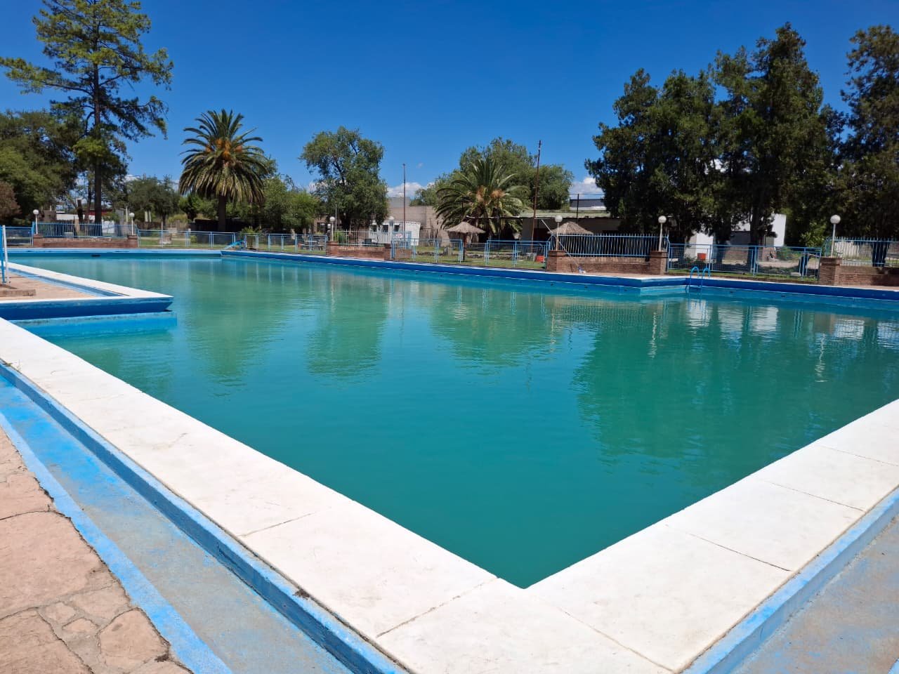 Jugadores básquet de Alianza U15